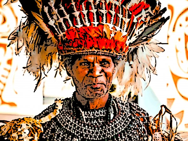 Tribal Chief by W Scott
